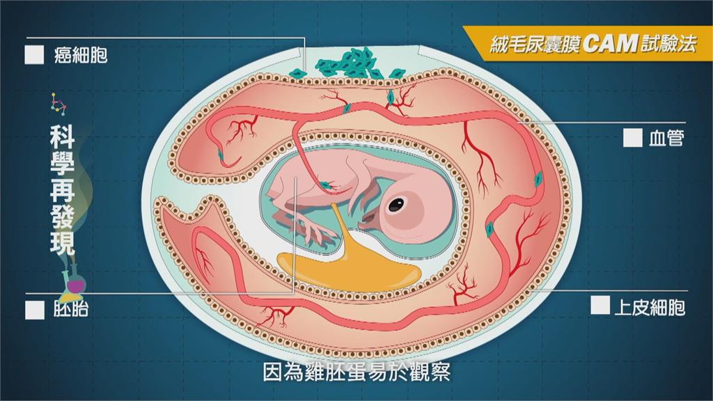 生技醫療大未來　探討研究重要性