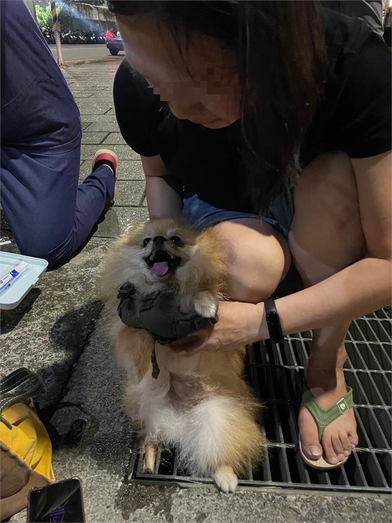 快新聞/