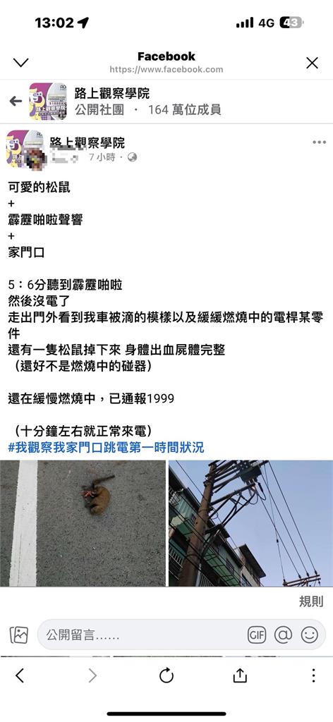 快新聞／桃園龜山632戶今晨停電　台電：松鼠誤觸高壓電遭炸飛