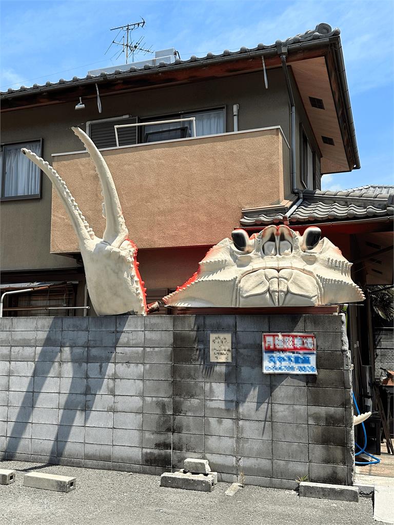 日本民宅驚見超浮誇「龐然巨獸」！網一看地點全笑了：這很大阪