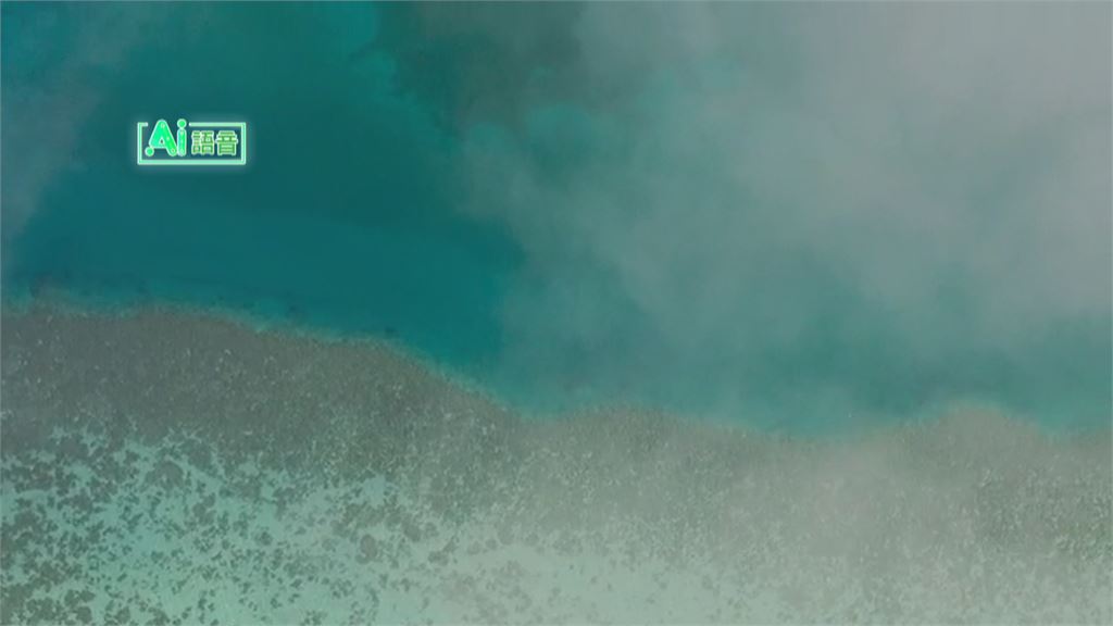 美伊戰火引發石油污染　波斯灣海洋生態告急