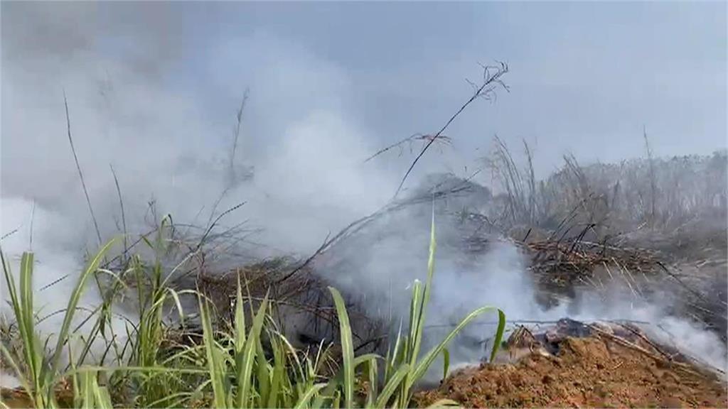 他掃墓才知「媽媽墳墓」整組被消失！「遺骨慘遭換人」炸裂真相曝…網氣爛：不怕報應？