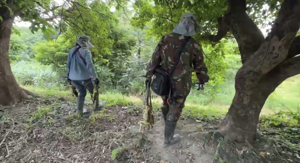 獵蜥也能年薪百萬？　揭密冠軍獵人98萬禮券背後代價
