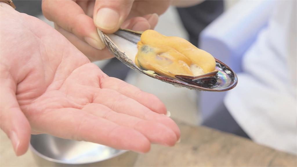 馬祖淡菜變身義式燉飯　仿酸菜魚煮出「酸辣金湯」