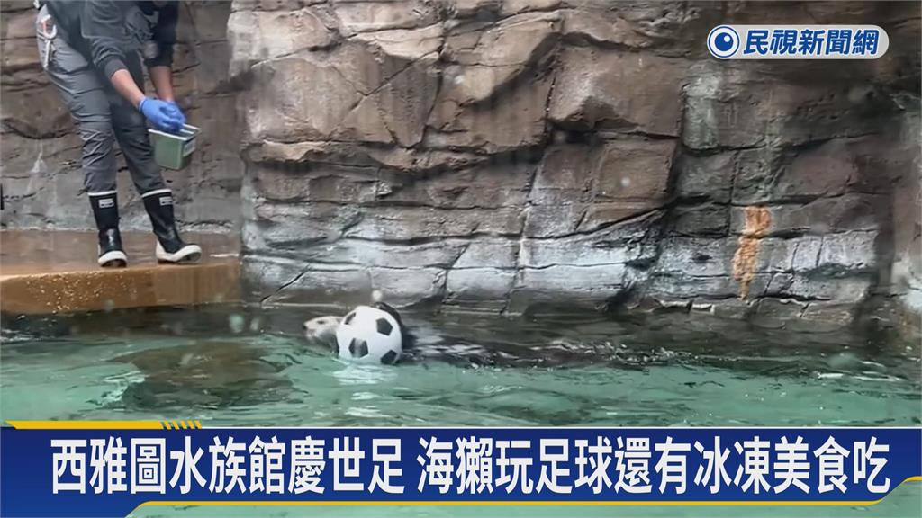伊朗、埃及誰能搶進32強？　美國天竺鼠「湯姆」預測曝光