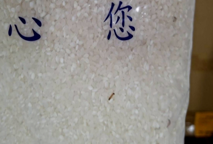救助白米「這原因」有蟲蟲　五結鄉農會諾端午前全數更換