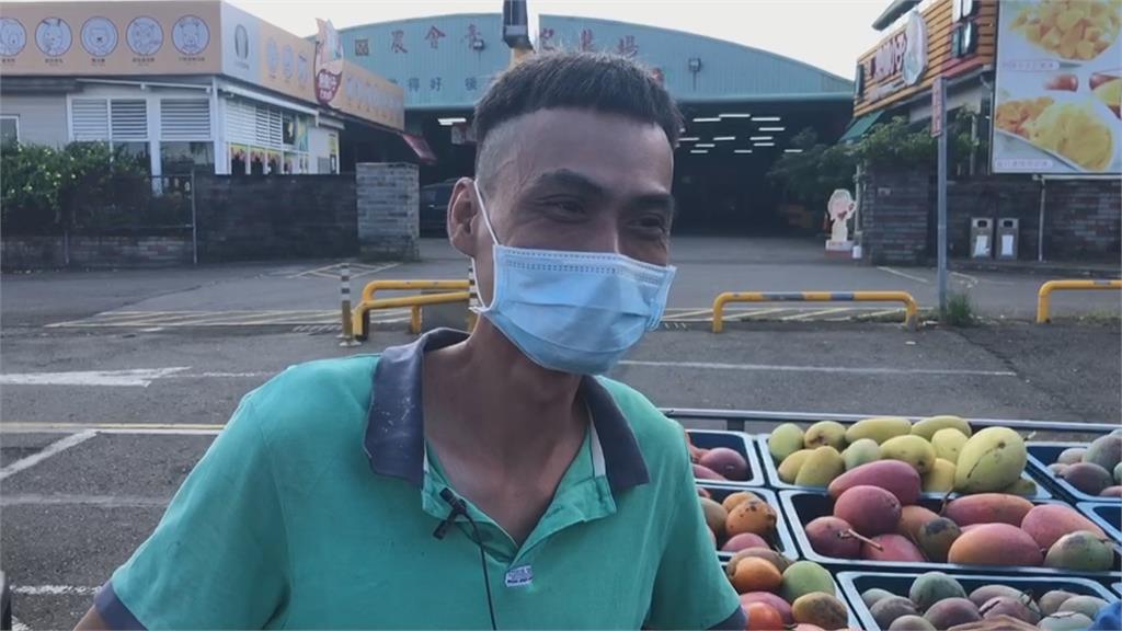 台南今年芒果產量增2成！　農委收購中.小規格每公斤10元