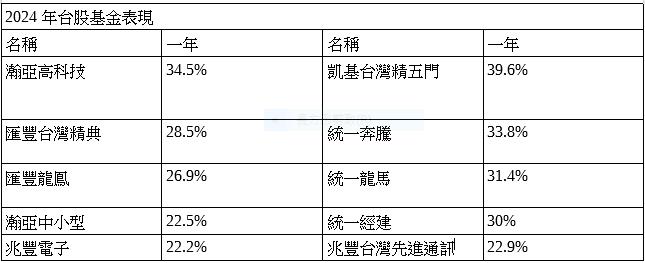 2024台股基金平均上漲21%   其中五檔大賺逾三成