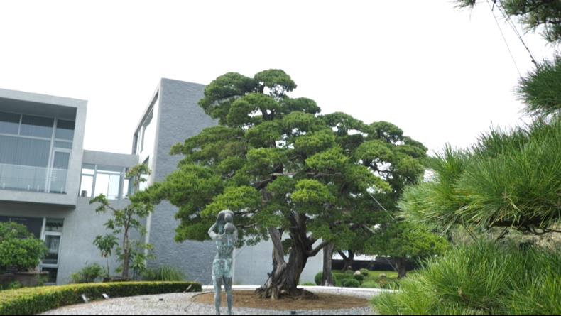 異言堂(影)/ 一棵樹比一棟房還貴! 彰化「傳世園」藏樹價值數千萬