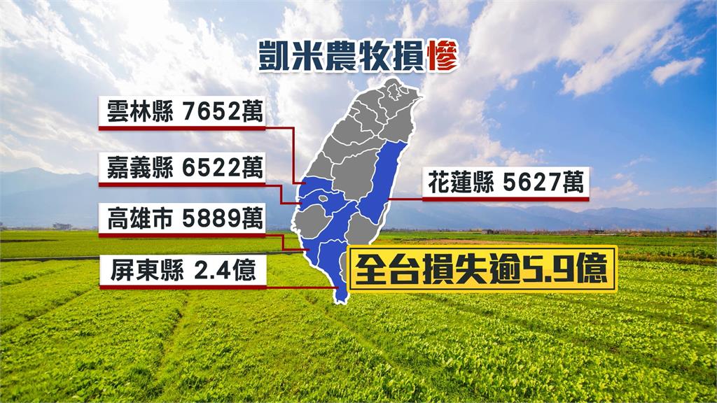 凱米重創農業！　全台農損逾5.9億　鄭麗君：盡快盤點從寬認定　