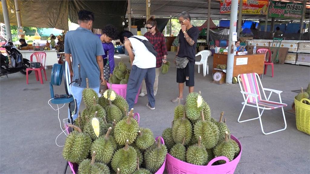 熱浪與乾旱影響種植成本增加　泰國榴槤產量大減