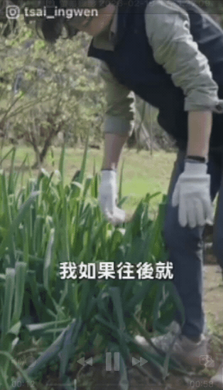 影／退休老人「下地拔菜」竟是蔡英文！對決粗勇青蔥「狂遮被抓包」超羞回嘴了