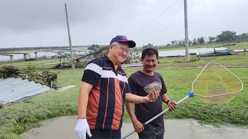 屏東萬丹養鴨場圍欄倒　菜鴨衝馬路大逃亡癱瘓交通