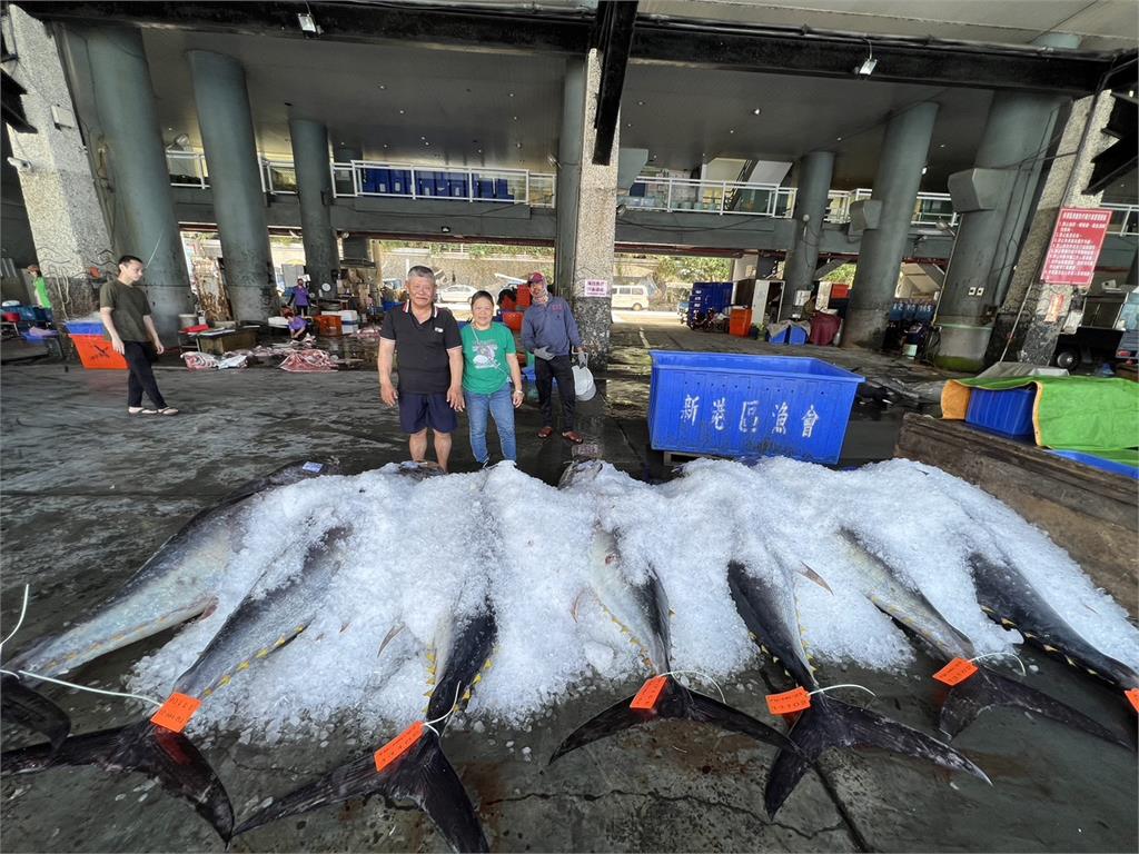 快新聞／海上移動Buffet　台東漁民捕獲「黑鮪魚頭」無奈原因曝