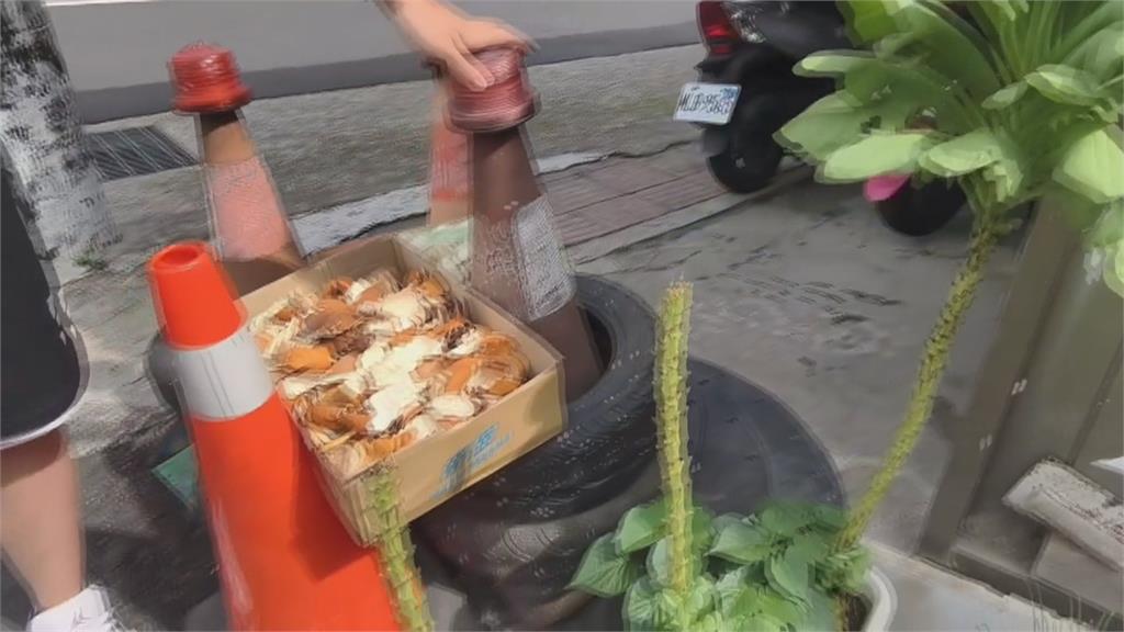 台中2男深夜"持長刀閒晃亂砍植栽" 被逮稱:純屬好玩
