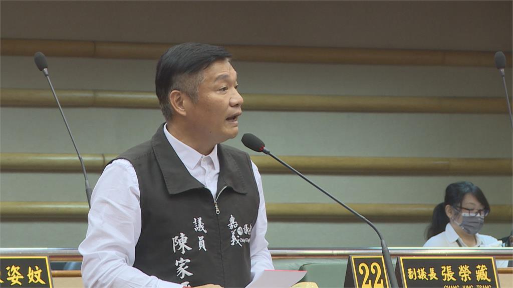 嘉義市立委初選 綠王美惠拚連任、藍4人相爭