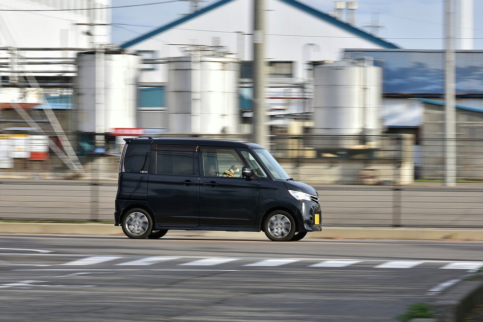 開車超速被拍怎麼辦？幫手完美借位「你出事、牠來扛」警嘆：太幸運