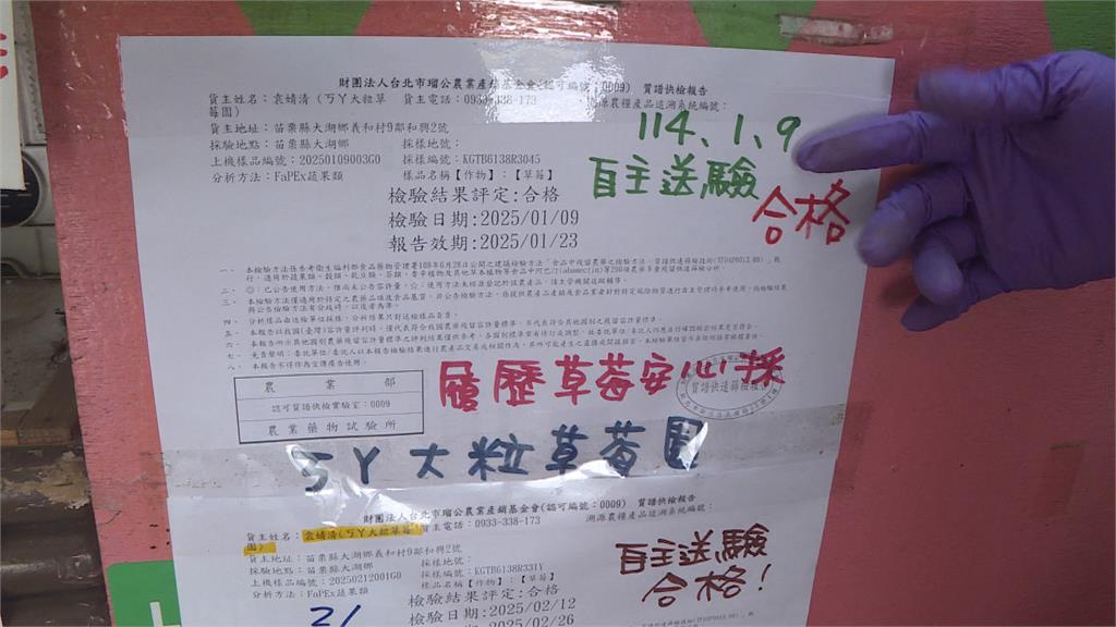 破除迷思!苗栗大湖草莓絕對安全 用藥、定期抽檢符合規範