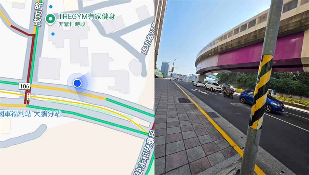 「最傻眼路殺!」秀朗橋下驚見藍腹鷴屍體 柳丁哥哥嘆:這次救援是人生最難忘