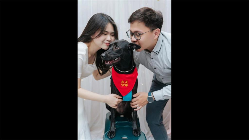 女大十八變!「張君雅小妹妹」曝喜訊 化身氣質人妻甜曬婚照