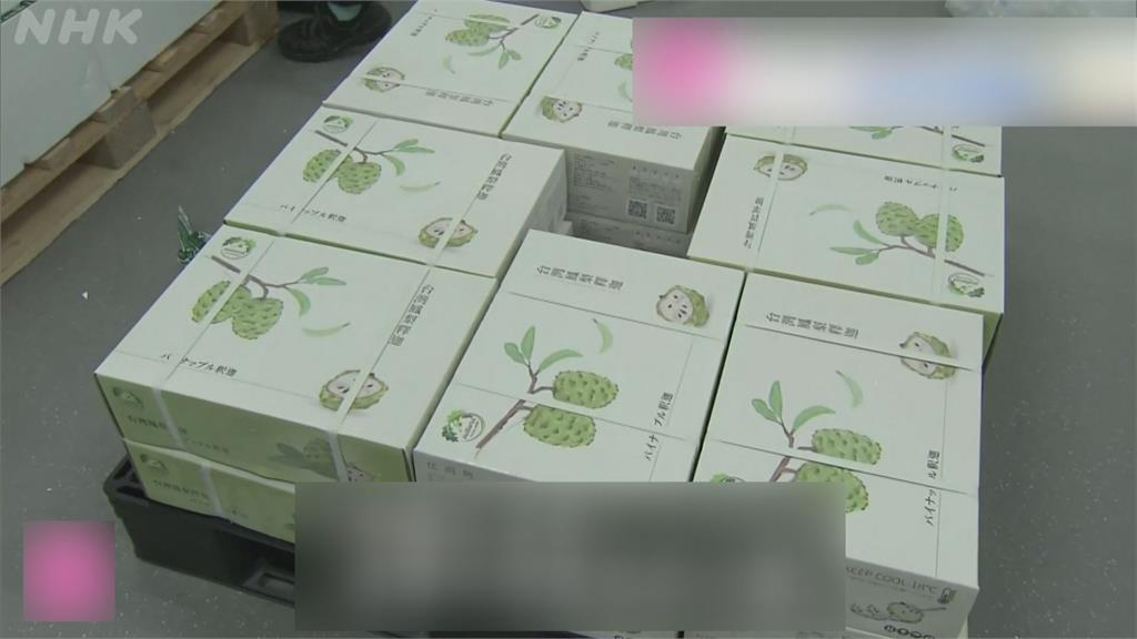 台灣鳳梨釋迦運抵日本　批發市場出貨網路訂單