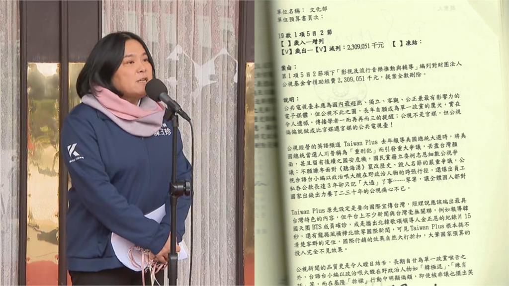 館長嗆台灣影視界「拍一堆北爛的片」!挺藍白砍公視預算:我是明星也沒補助