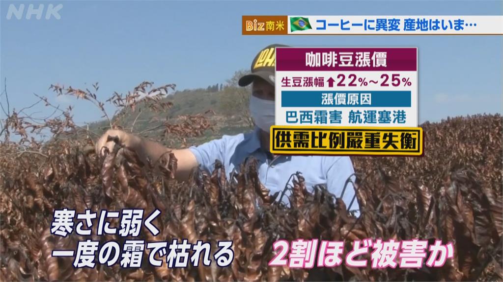 業者苦不堪言!巴西霜害、塞港 國際咖啡價續攀升