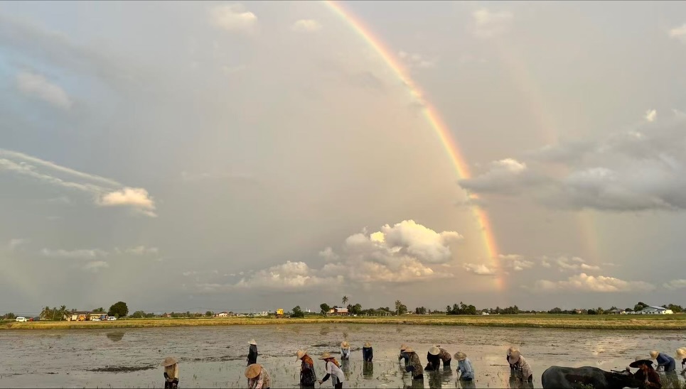 范冰冰金馬封后2喊中國「被消失」！逃到IG爆出「遭封殺7年真心話」認了這壓力