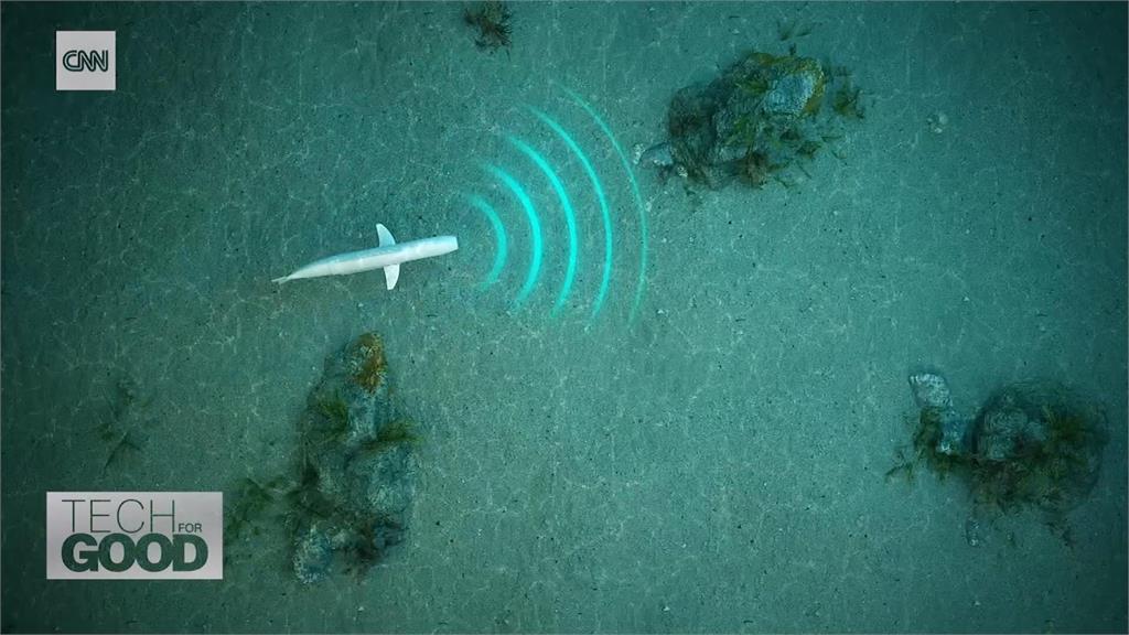 瑞士學生開發「仿生機器魚」　超擬真！盼不干擾環境研究生態