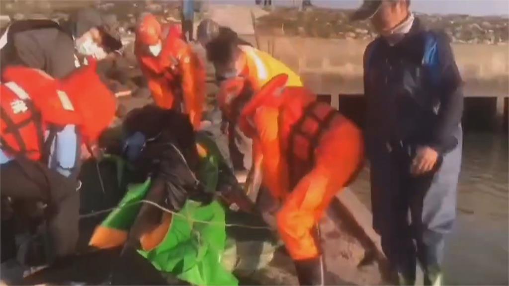 「糙齒海豚」擱淺彰化海邊　岸巡人員急搶救
