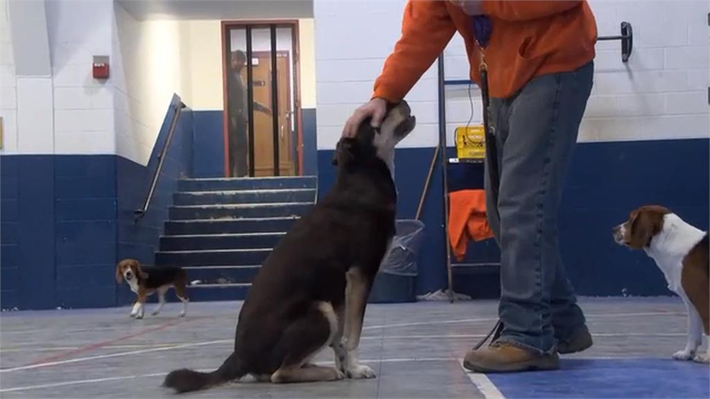 美國愛荷華推獄中訓犬計畫　受刑人找回人生意義
