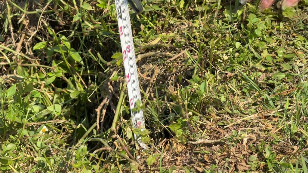 三重大都會公園有坑洞 女一腳踩入卡住