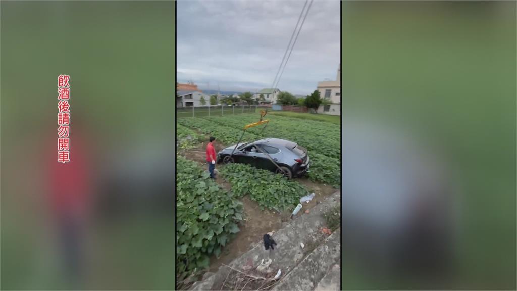 驚險瞬間! 轎車閃車衝進菜田 駕駛涉酒駕送辦