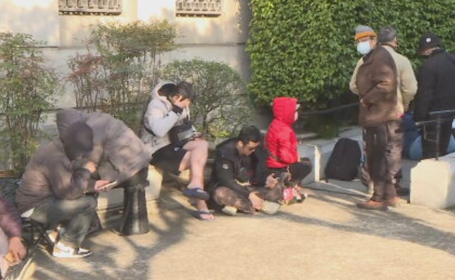 快新聞／史上最貴馬年套幣買氣旺！臨櫃開賣不到2小時搶購一空