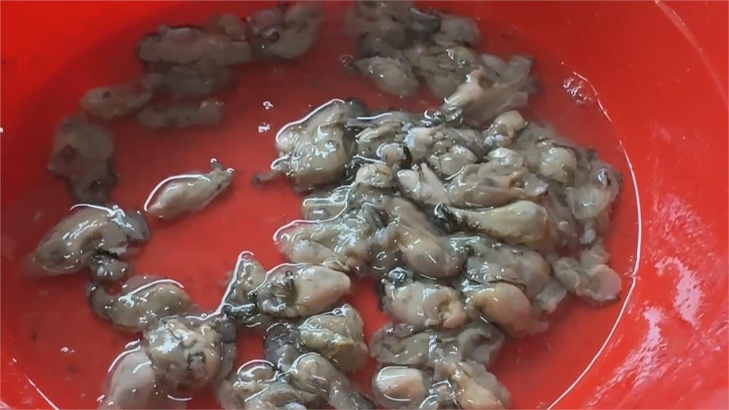 數千隻蚵棚架被風浪捲上岸 台南蚵農怒批漁業署無視生計