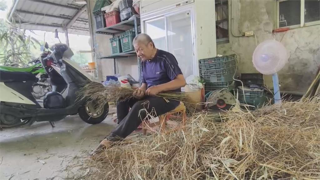 機器無法取代！苗栗77歲職人「手製竹掃把」　不怕中國低價競爭