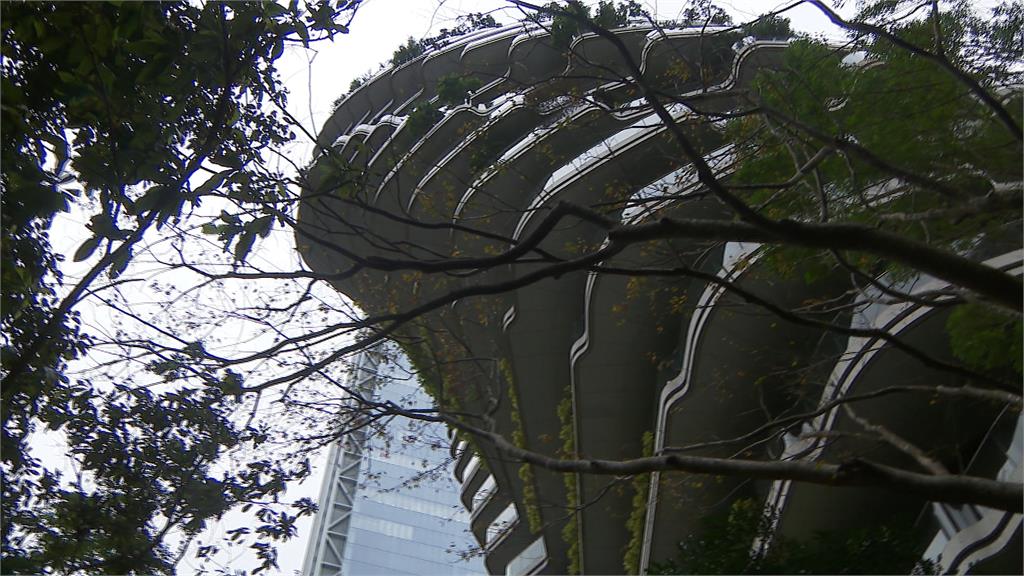 陶朱隱園首次開箱:2千坪生態庭園與多功能車梯亮相