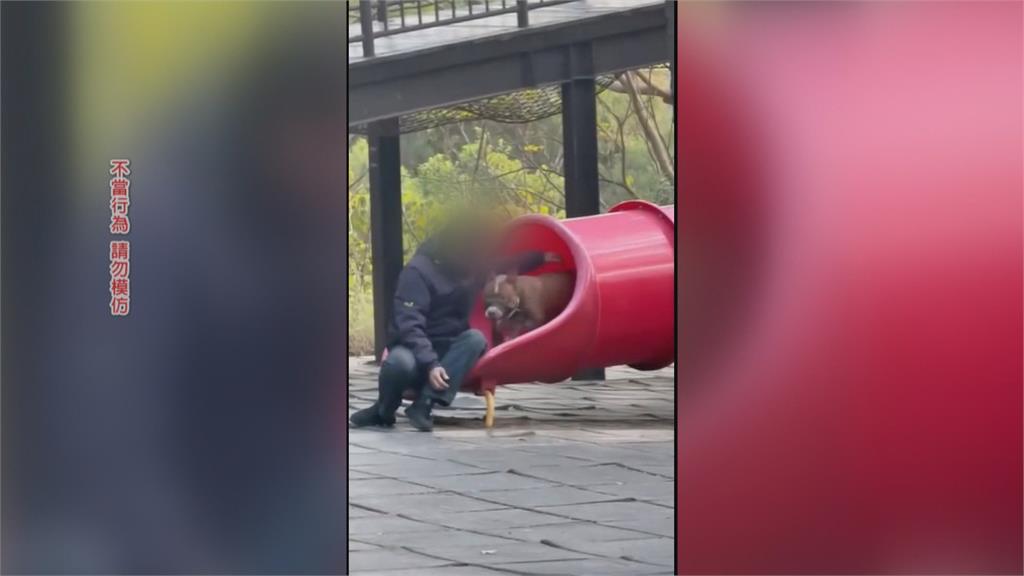 傻眼！　彰化兒童公園目擊「猛犬爬遊具」　民眾嚇傻怒批飼主：超沒品