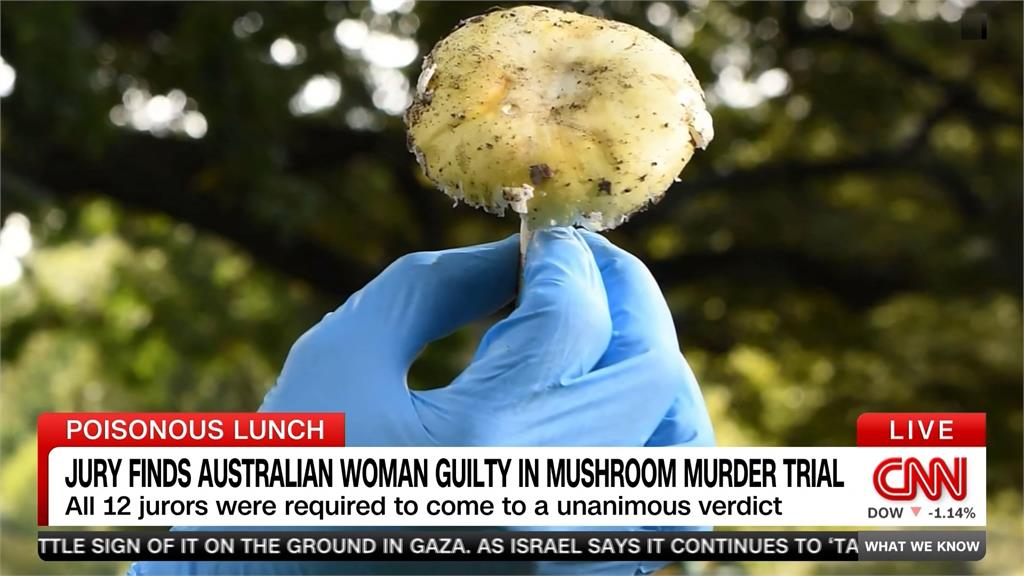 澳洲驚世媳婦 請前公婆吃毒菇牛排致三死判謀殺罪
