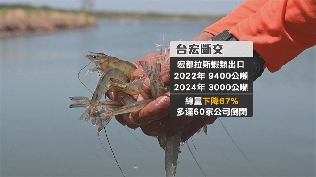 台宏斷交後悔了？　宏都拉斯大選親台候選人大幅領先