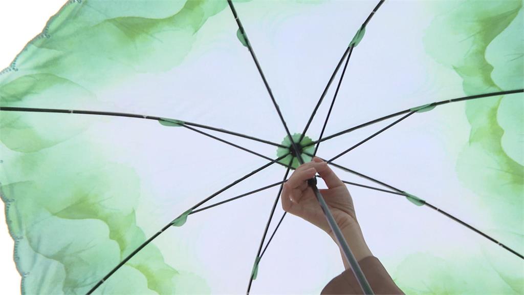 故宮朝聖翠玉白菜撲空！　日遊客曬「這一物」大獲網友好評