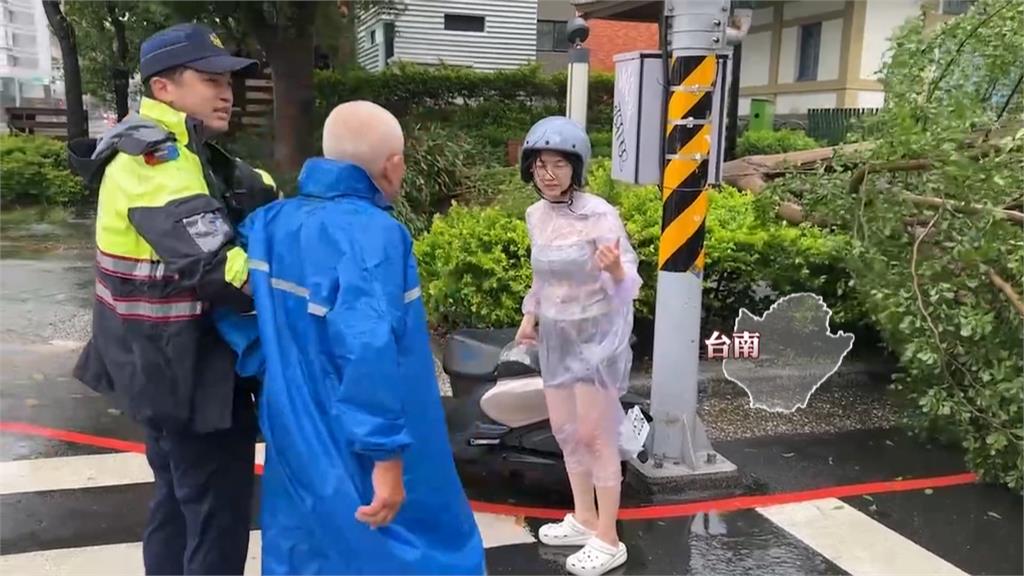 凱米刮強風吹倒路樹 高雄婦人騎車出門被砸中喪命