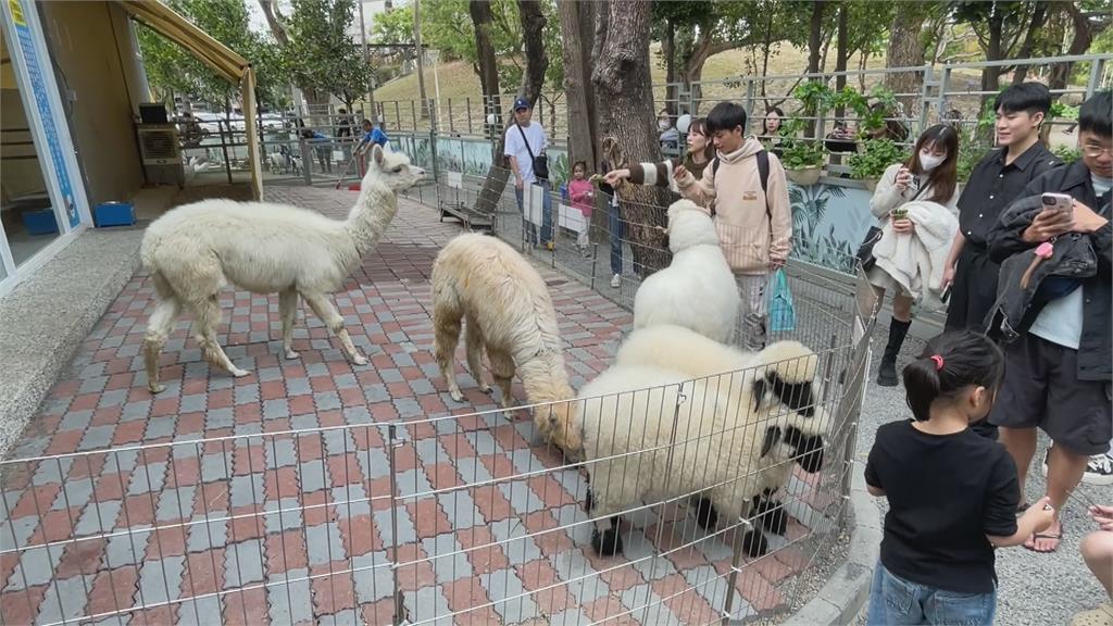 惡魔寵物區? 高雄寵物互動園區 被控飼養環境惡劣、管理不當