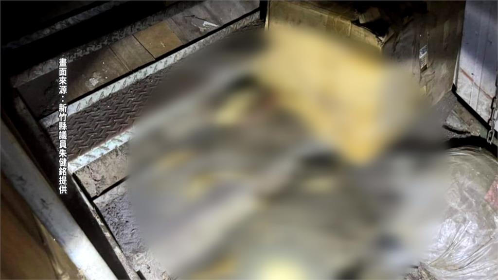 狠心!保養廠經營不善跑路 獨留2隻狗餓死成白骨