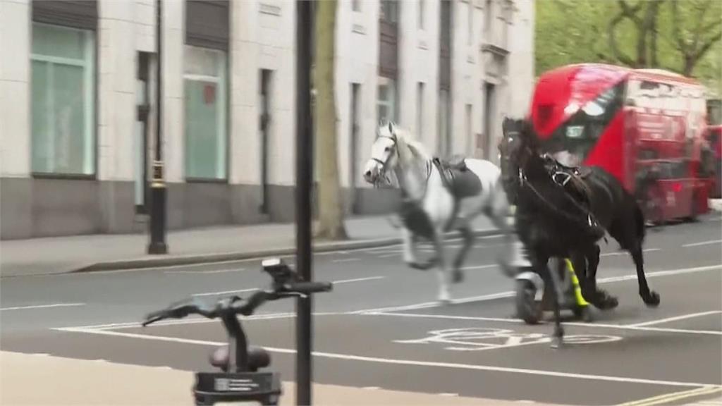 英國軍隊5匹馬訓練途中失控　倫敦街頭狂奔釀5傷