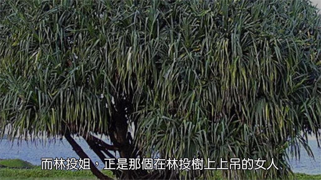 清代台灣4大奇案之一　《林投姐》血淚故事「中國渣男」是最大元凶