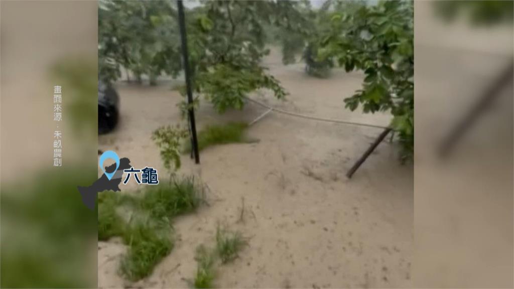大雨不斷果農欲哭無淚！　六龜7天降1800毫米雨量芭樂園成游泳池