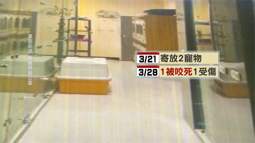 愛犬住宿竟被活活咬死 飼主北上陳情控寵物旅館疏失