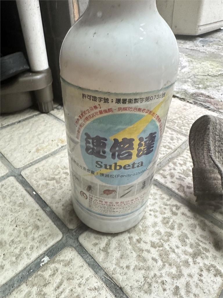 男子借住友人家竟對法鬥「灌農藥」 飼主心疼送醫幸搶回一命