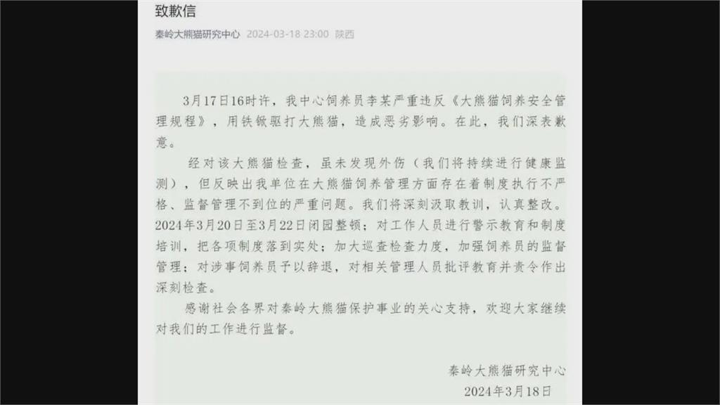 飼育員「揮鐵鏟驅打貓熊多次」!影片曝光引網怒 園區這樣處理
